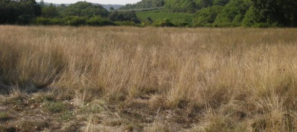 17947m² Land in Saint-Hippolyte-de-Caton, France No. 100706 3