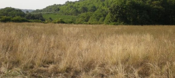 17947m² Land in Saint-Hippolyte-de-Caton, France No. 100706 2