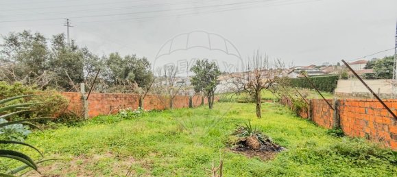 4 bedrooms House in Sao Joao da Madeira, Portugal No. 150865 24