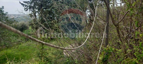 4 Schlafzimmer Villa in Modica, Italy, Nr. 19423 47