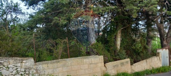 4 Schlafzimmer Villa in Modica, Italy, Nr. 19423 50