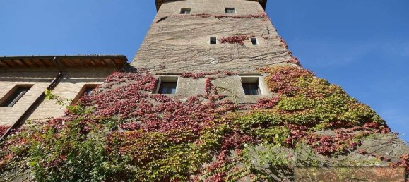 16 bedrooms House in Siena, Italy No. 220 4