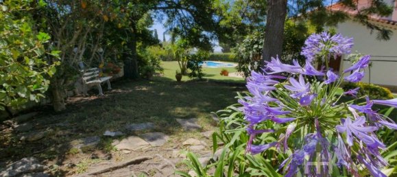 7 Schlafzimmer Haus in Palmela, Portugal, Nr. 206967 50