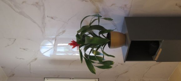 2 Schlafzimmer Wohnung in La Zenia, Spain, Nr. 181799 21