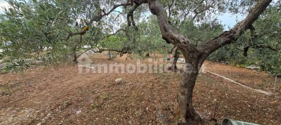 2 bedrooms Villa in Trani, Italy No. 173356 4