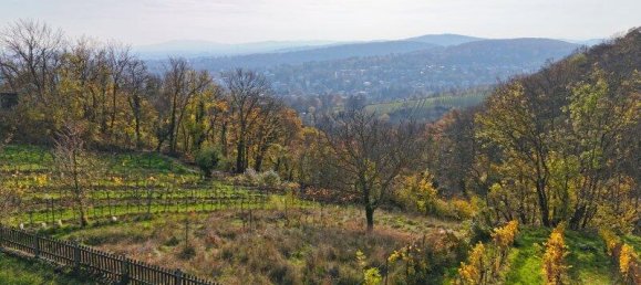 6غرفة منزل في Dobling, Austria رقم 90698 4