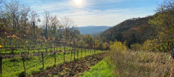 6غرفة منزل في Dobling, Austria رقم 90698 9