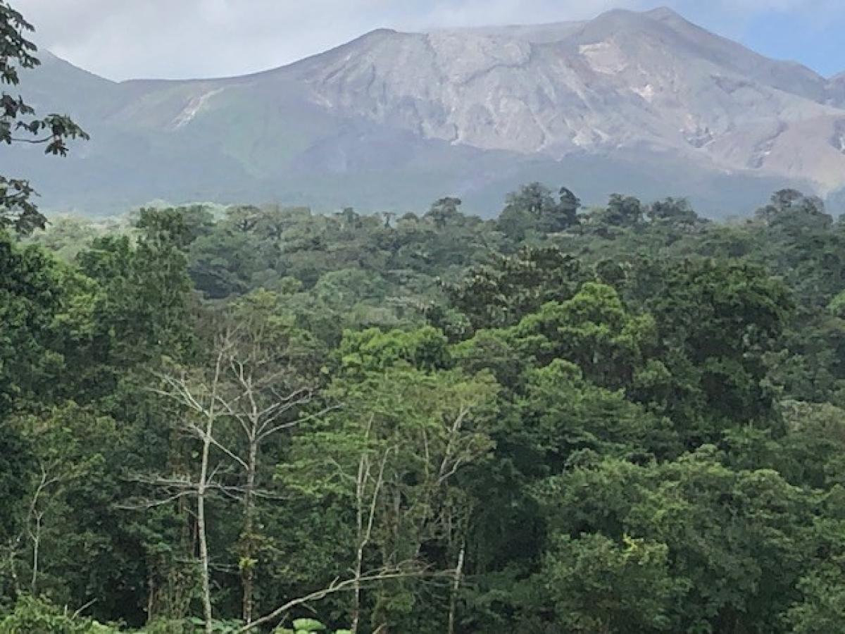 Land for sale in Upala, Alajuela, Costa Rica № 1899