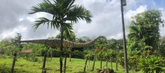 Land for sale in Upala, Alajuela, Costa Rica № 1899 4