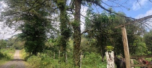 Land for sale in Upala, Alajuela, Costa Rica № 1899 5