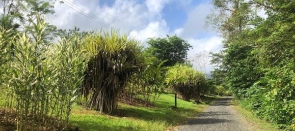 Land for sale in Upala, Alajuela, Costa Rica № 1899 3