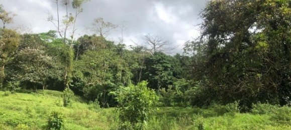 Land for sale in Upala, Alajuela, Costa Rica № 1899 6