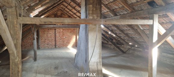 3-Zimmer Haus in Palterndorf-Dobermannsdorf, Austria, Nr. 153194 13