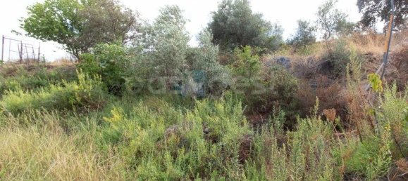 26400m² Land in Castro Marim, Portugal No. 150096 22