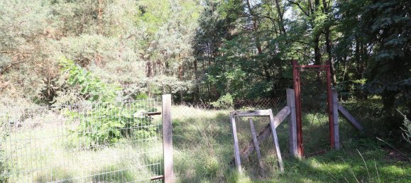 8-salle Maison à Jerichower Land, Germany No. 296067 11