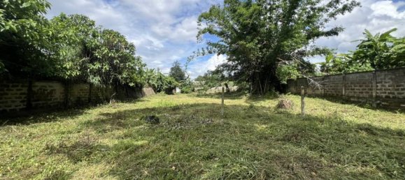  قطعة أرض في Chiang Rai, Thailand رقم 61807 8