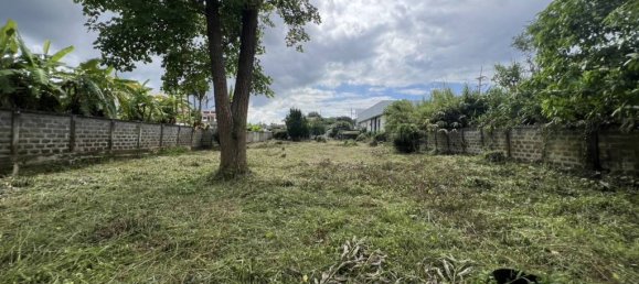  قطعة أرض في Chiang Rai, Thailand رقم 61807 7