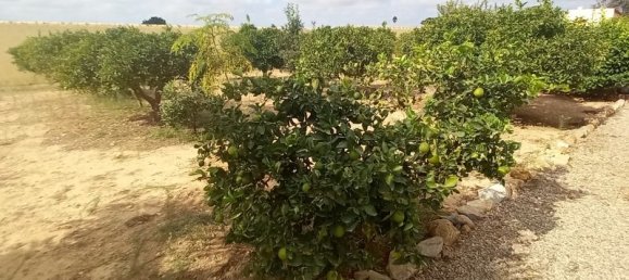 3 bedrooms House in San Javier, Spain No. 124938 34