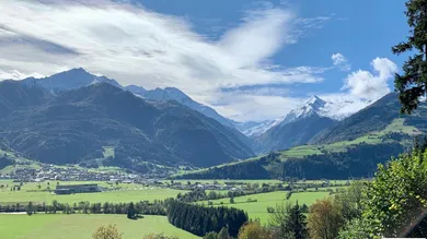 Земельный участок в Пизендорф, Австрия № 69108