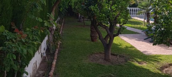 Apartamento de 3 dormitorios en L'Eliana, Spain No. 170579 18