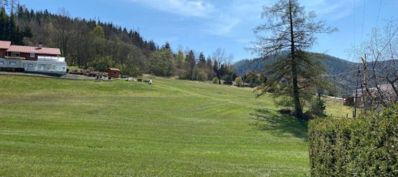 Terreno en Neuberg an der Murz, Austria No. 75833 7