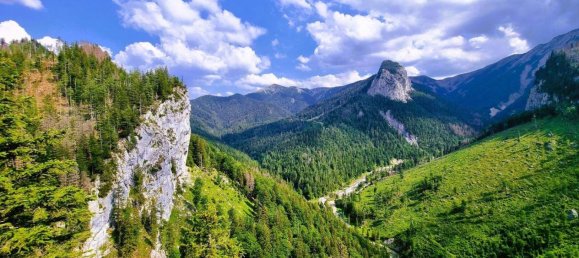 Terreno en Neuberg an der Murz, Austria No. 75833 10