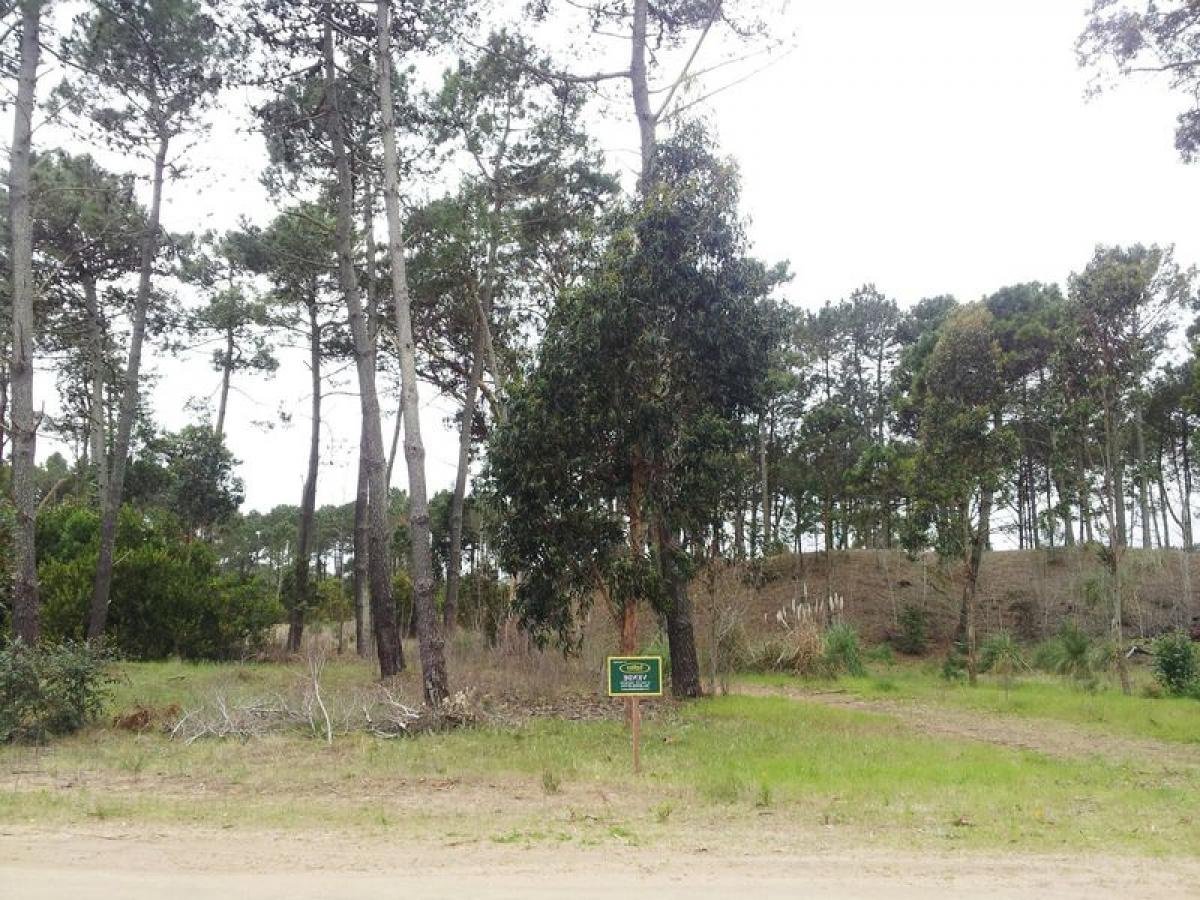  Land in Mar del Plata, Argentina No. 122138
