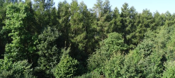 2 غرف نوم شقة في Vorpommern-Rugen, Germany رقم 134641 6