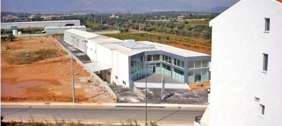 2930m² maisonnette à vendre à Markopoulo Mesogaias, East Attica, Attica, Greece № 7203 4