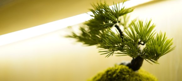 Studio in the Condo in Pattaya, Thailand No. 12145 6