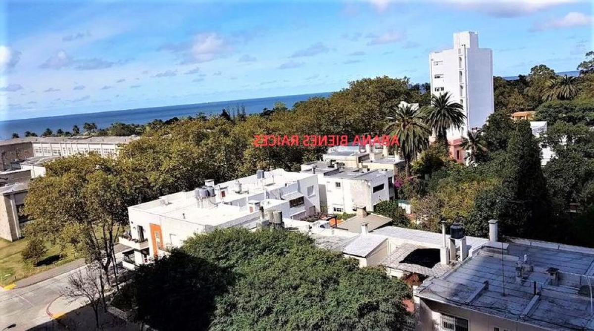 2 chambres Appartement à Montevideo, Uruguay No. 9202