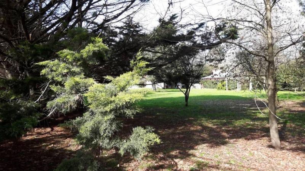  Land in Marcos Paz, Argentina No. 45177