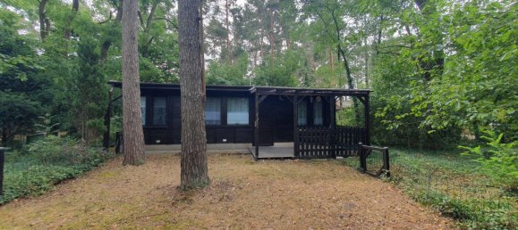 1 chambre Bungalow à Nordsachsen, Germany No. 244935 2