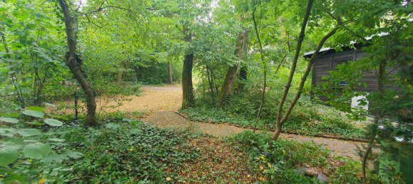 1 chambre Bungalow à Nordsachsen, Germany No. 244935 39