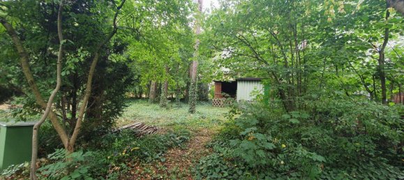 1 chambre Bungalow à Nordsachsen, Germany No. 244935 33