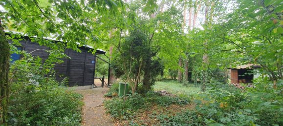 1 chambre Bungalow à Nordsachsen, Germany No. 244935 31