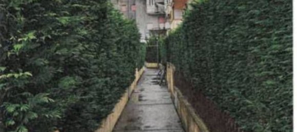 4 rooms Apartment in Scalea, Italy No. 184085 6