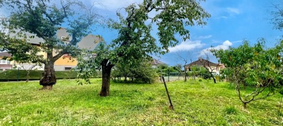  Land in Uhlwiller, France No. 242461 5