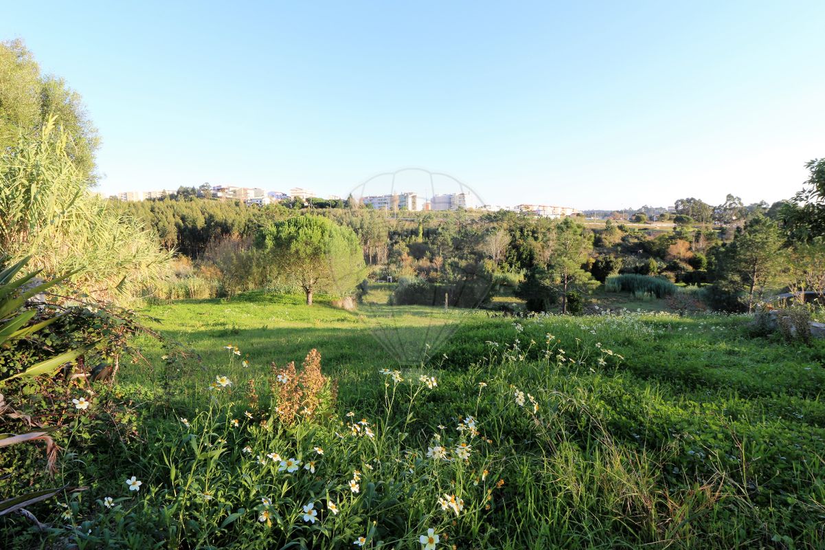 6 chambres Maison à Tavarede, Portugal No. 35941
