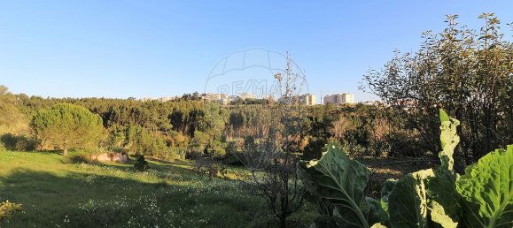 6 chambres Maison à Tavarede, Portugal No. 35941 19