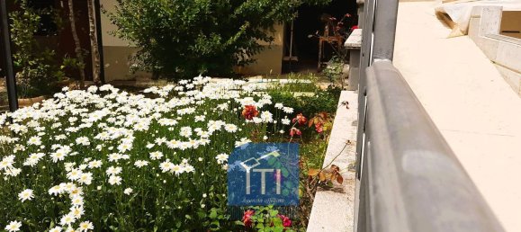 8 rooms Villa in Sant'Elia Fiumerapido, Italy No. 163581 6