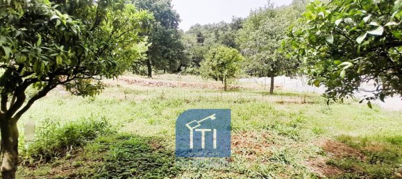 8 rooms Villa in Sant'Elia Fiumerapido, Italy No. 163581 12