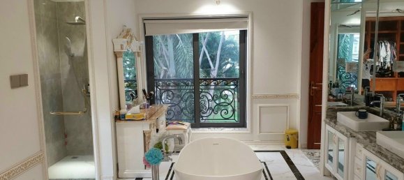 338.9m² Villa in District 7, Vietnam No. 13217 11