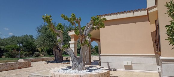 8غرفة فيلا في Fasano, Italy رقم 78229 15