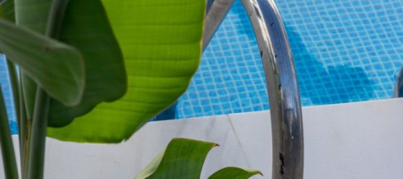 4 غرف نوم بانتهاوس في Fuengirola, Spain رقم 187483 36