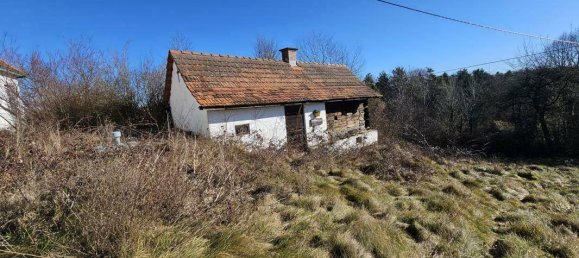 4-Zimmer Haus in Kirchberg an der Raab, Austria, Nr. 182840 14