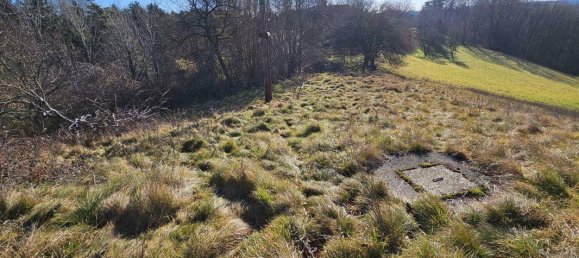 4-Zimmer Haus in Kirchberg an der Raab, Austria, Nr. 182840 24