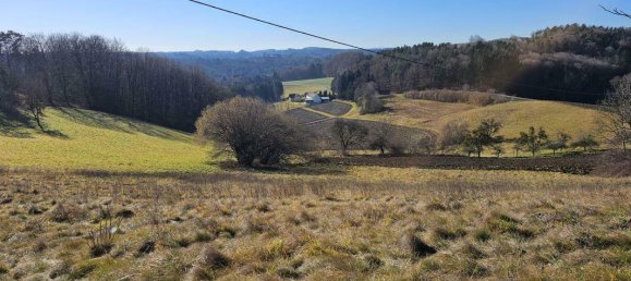 4-Zimmer Haus in Kirchberg an der Raab, Austria, Nr. 182840 23