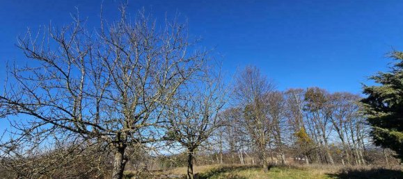 4-Zimmer Haus in Kirchberg an der Raab, Austria, Nr. 182840 42