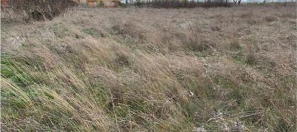 Terrain à Olmedo, Spain 5750m² No. 84871 8